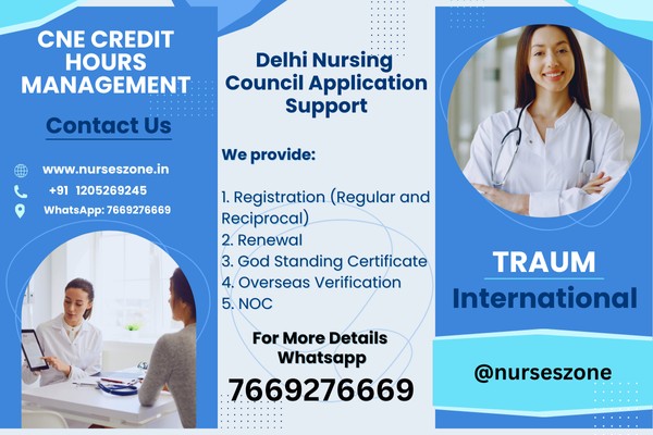 Delhi-Nursing-Council-Application-Support