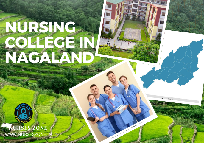 Nursing College in Nagaland