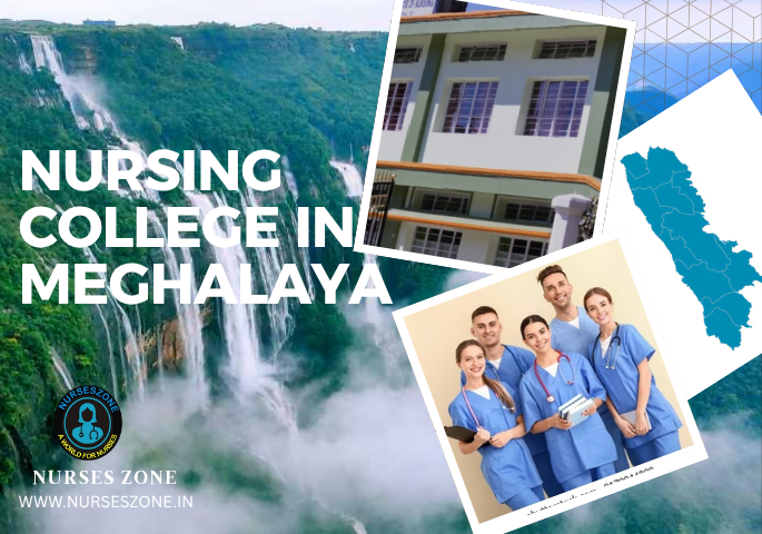 Nursing College in Meghalya