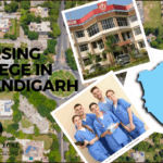 Nursing College in Chandigarh